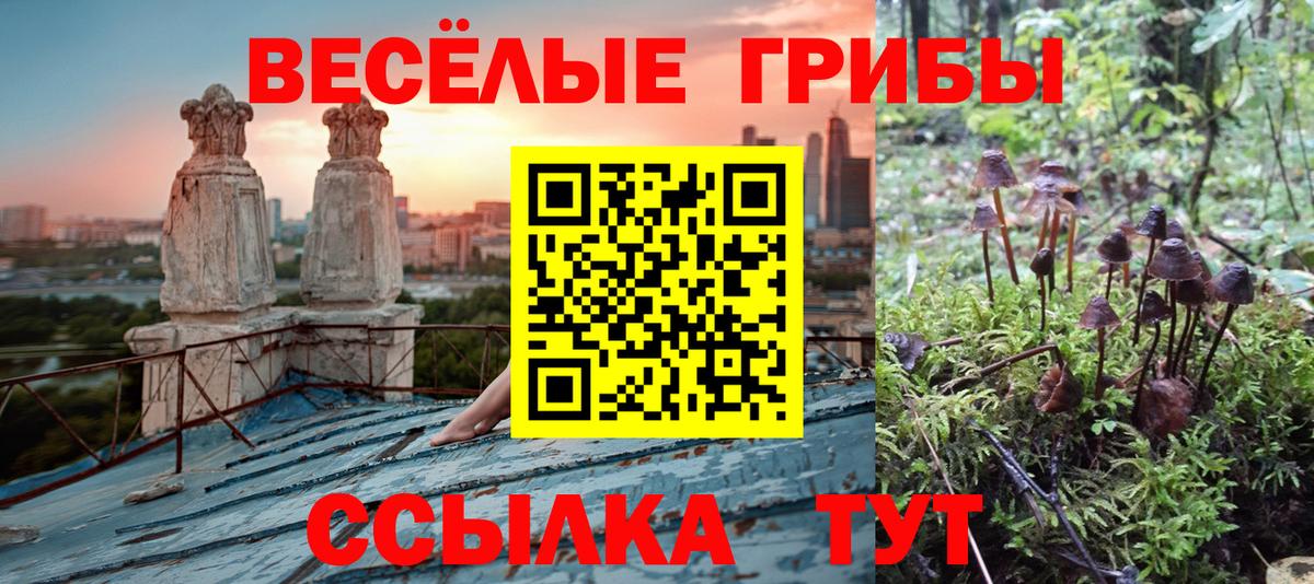 Галлюциногенные грибы мухоморы  Вход с VPN  Галлюциногенные грибы Cubensis  Псков 