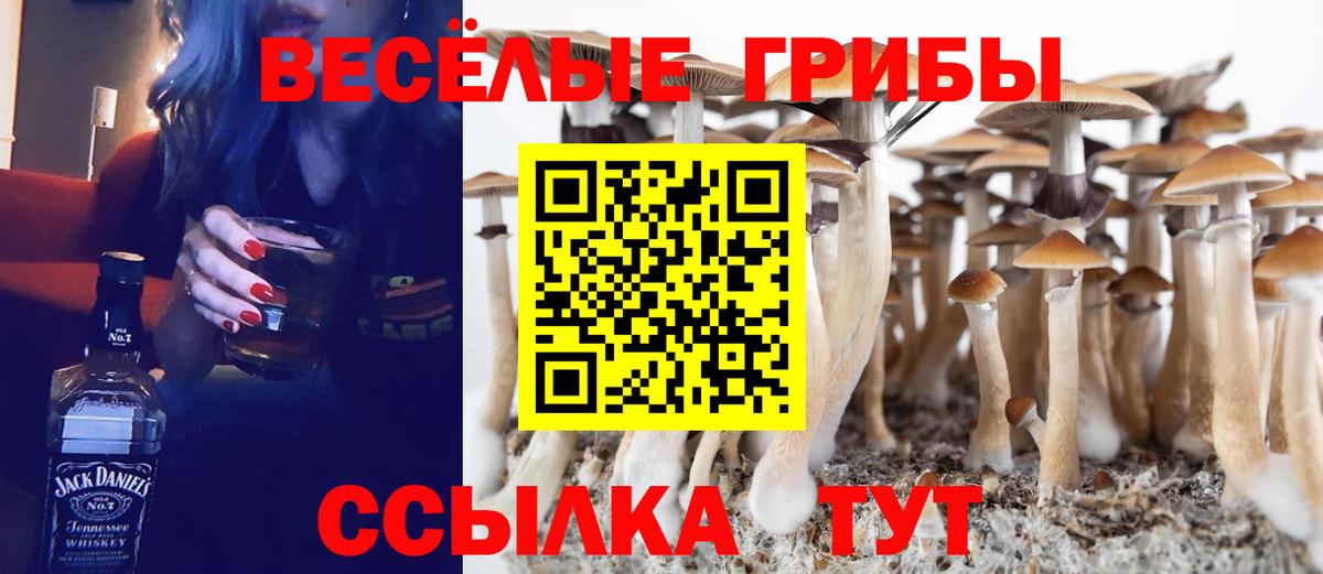 Меф  Вход с VPN  Бошки Шишки  Мефедрон кристаллы  Псков  Гашиш 